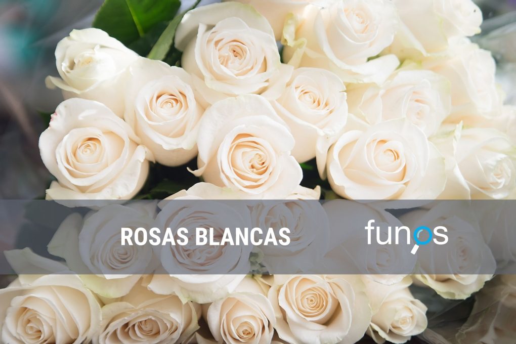 Rosas blancas para funerales Funos