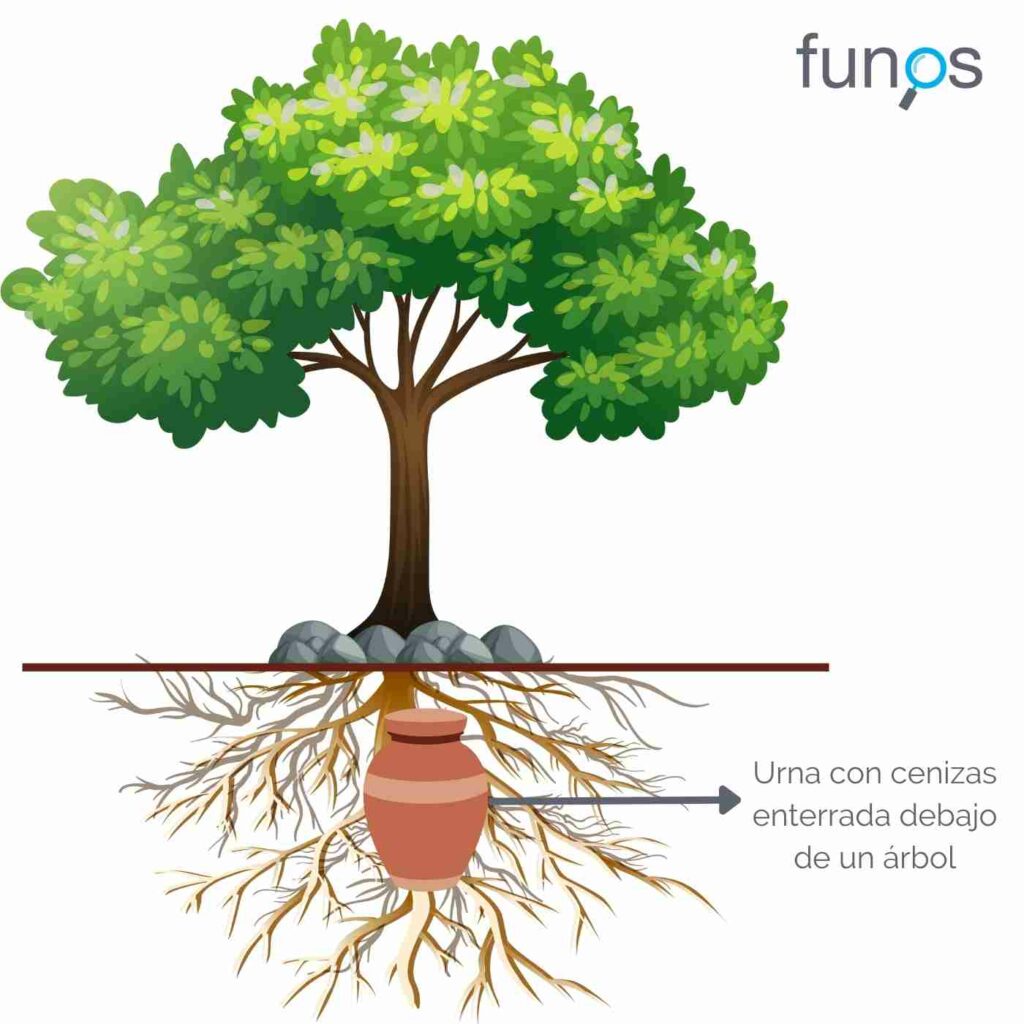 Urna con cenizas para plantar un árbol Funos